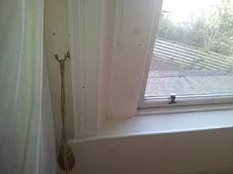 fkillineybeforeinternal 1635.jpg